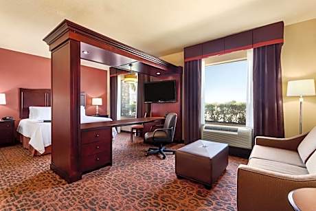 1 King Bed Studio Suite Nonsmoking