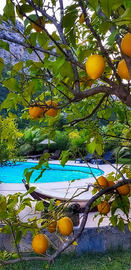 Portalimo Lodge Hotel - Adult Only +12