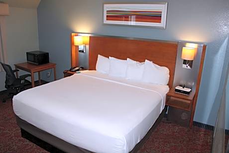 1 King Bed Nonsmoking