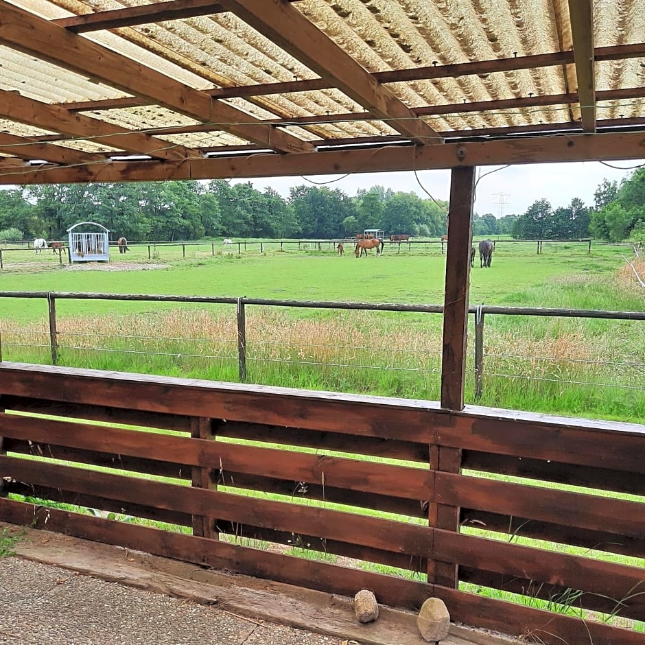 Unieke vriendenkamer met bedstedes tot 11 personen en 2 rustig gelegen chalets 2 en 4 persoons te huur!