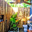 Soultribe Beach Retreat