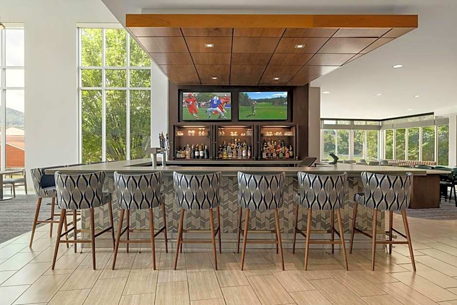 SpringHill Suites by Marriott Roanoke