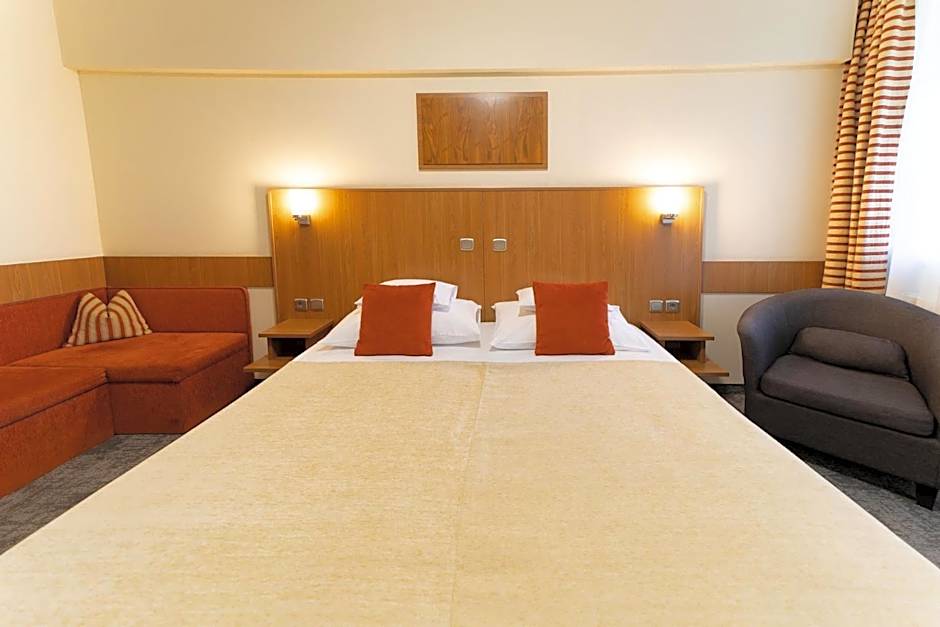 Art Hotel superior