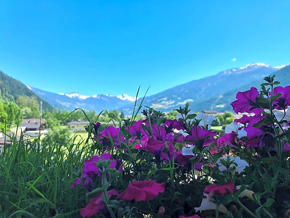 Hotel Alpenhof***