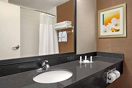 Room, 1 King Bed (Hearing Accessible) (1 King Bed)
