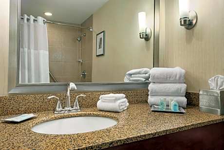 1 Queen Bed One-Bedroom Suite Non-Smoking