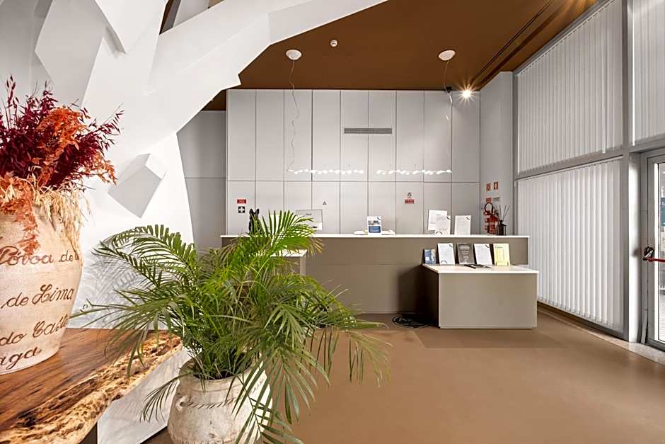 Basic Braga by Axis
