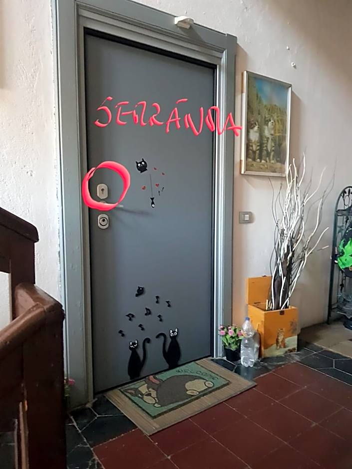 Affittacamere Erbagatta