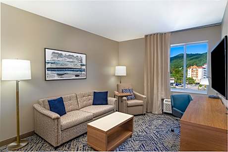 One-Bedroom King Suite