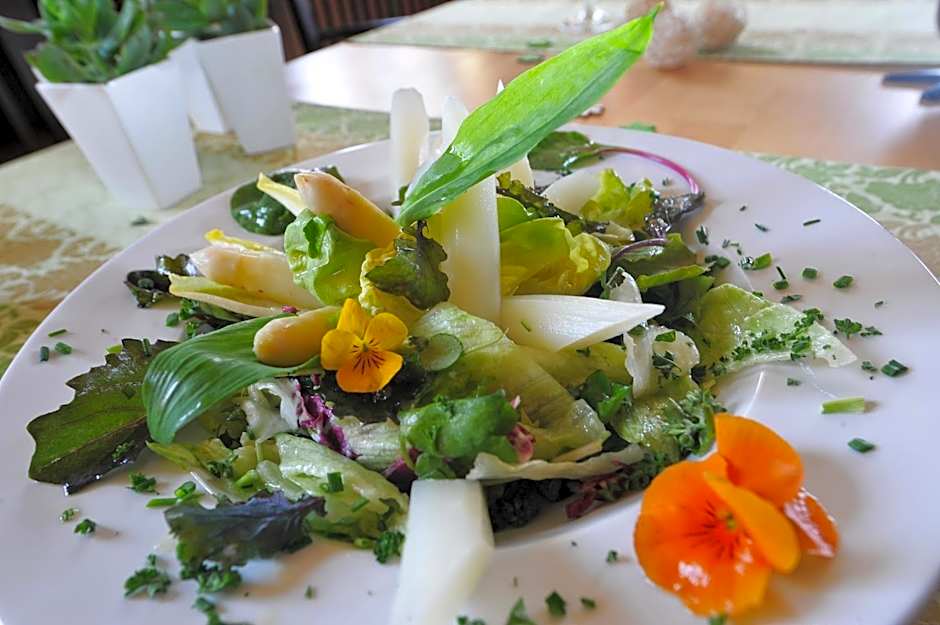 Steinbergs Wildewiese NaturHotel