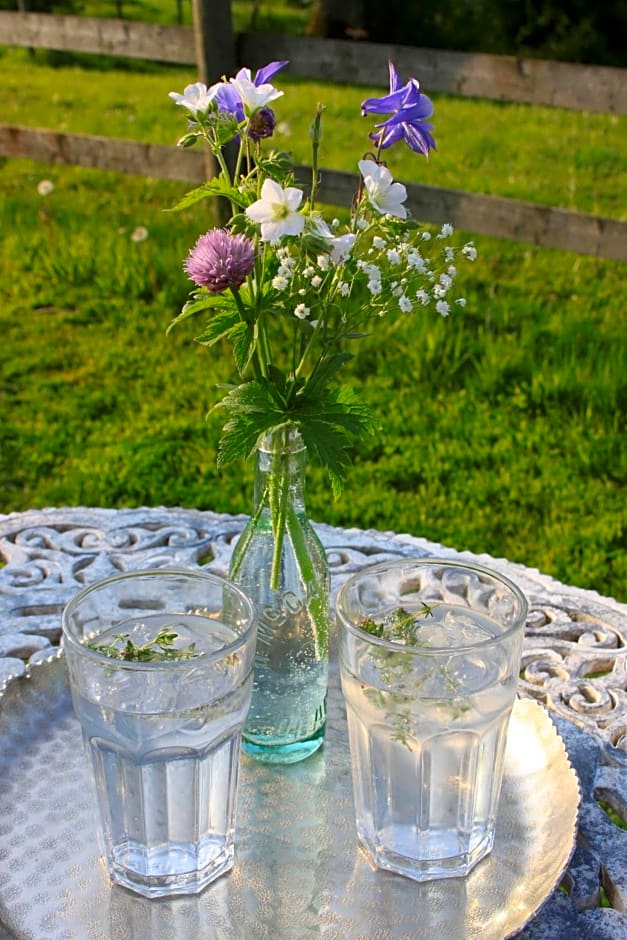 The Parlour, for Alton Towers & the Peak District