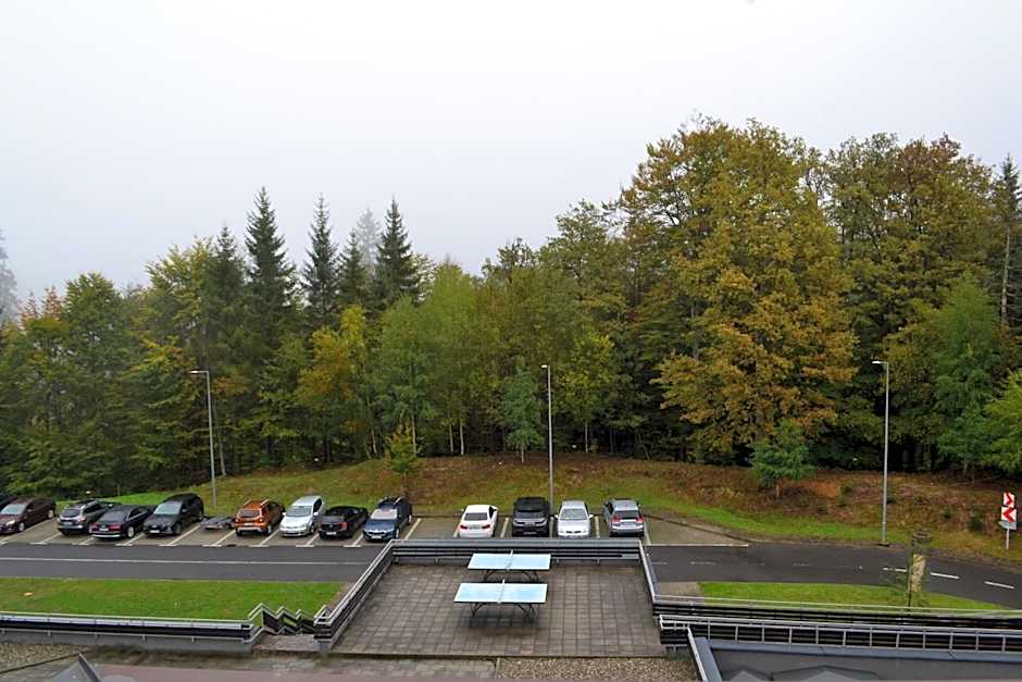 Mountain Nest in Silver Mountain Poiana Brasov