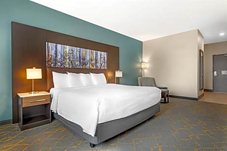 King Room with Communication Assistance