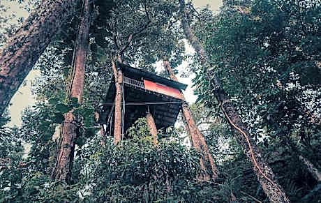 Ela Ecoland Nature Retreat