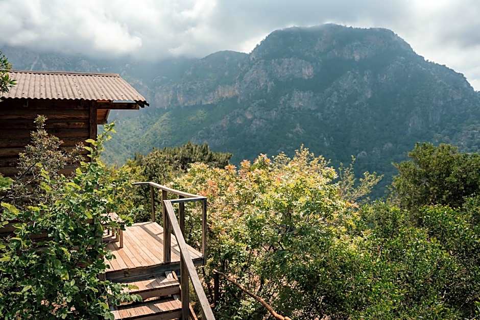 Olive Garden Kabak