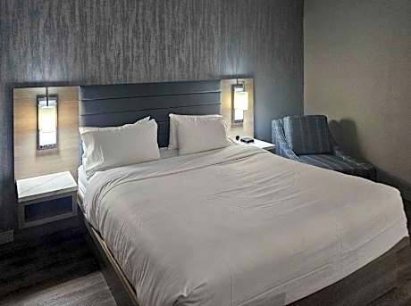 1 Double Bed, Suite, Nonsmoking, Accessible