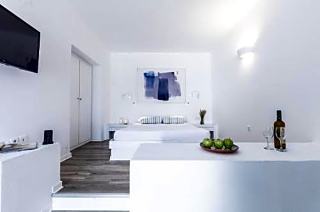 Premium Double or Triple Room