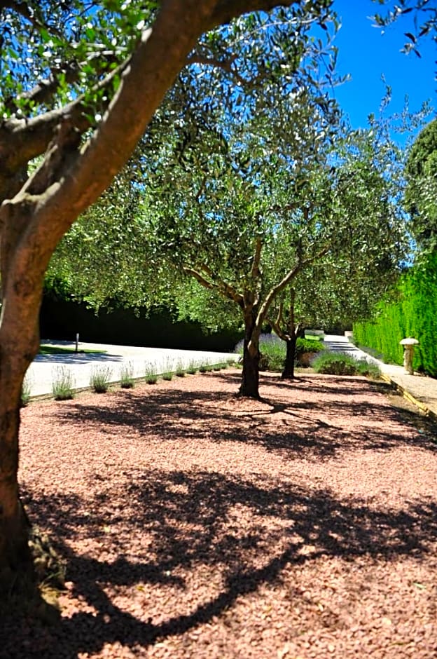 Le Jardin Des Amandiers – Châteaurenard, NY
