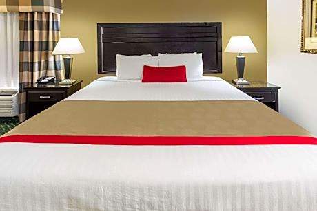 1 King Bed Mobility Accessible Room Non-Smoking