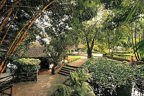 Aishi Machame