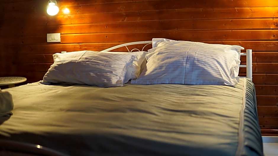 Cabana "Trei Brazi " Retezat