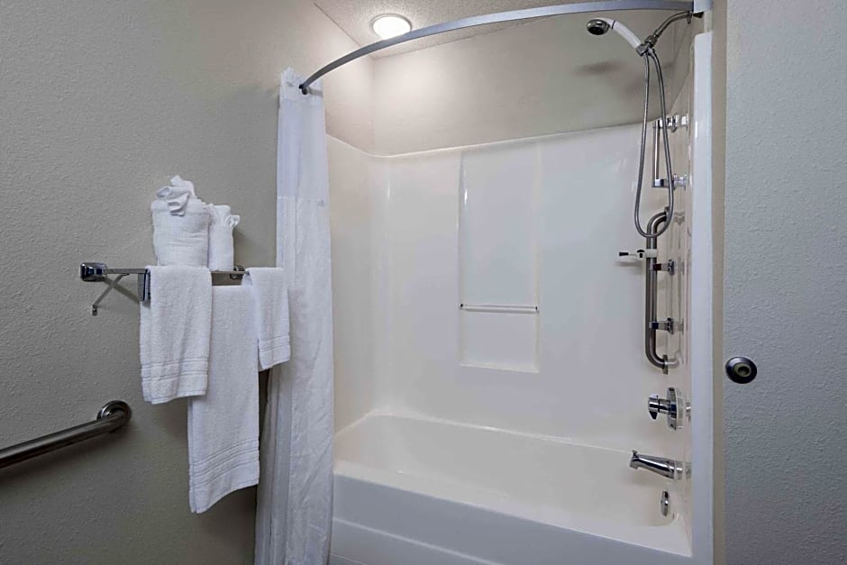Microtel Inn & Suites - Greenville