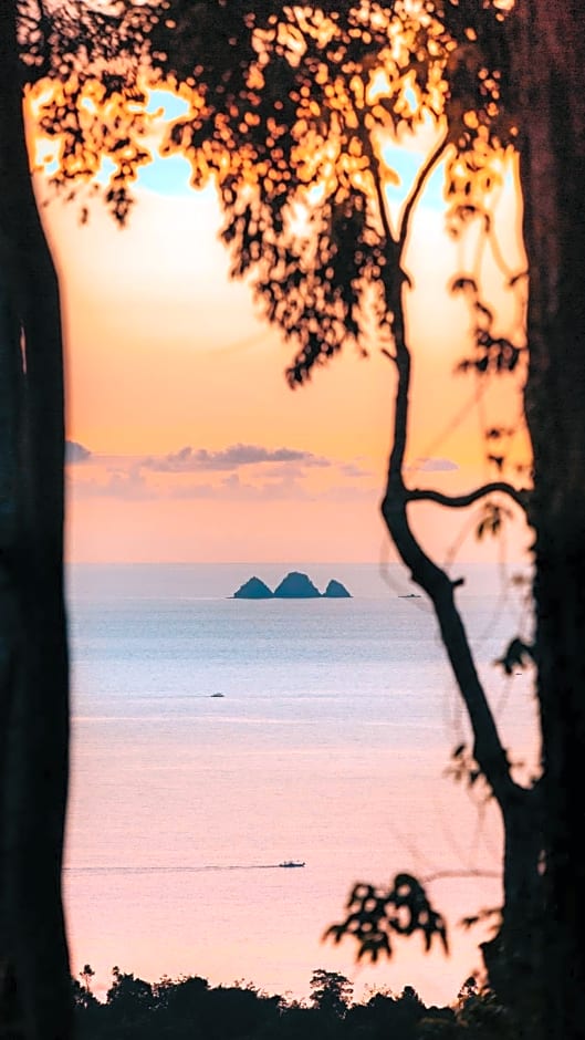 Atremaru Jungle Retreat