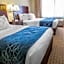 Comfort Suites University Area Notre Dame-South Bend