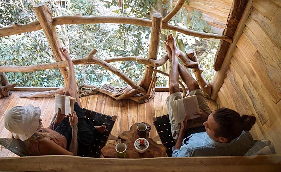 Roots Tree House