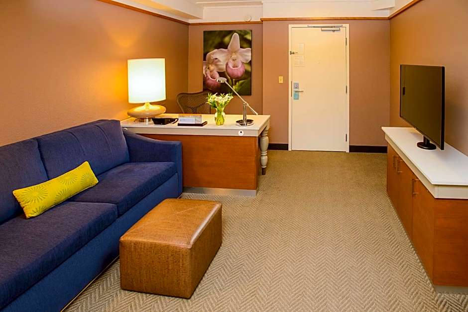 Hilton Garden Inn Rochester Downtown