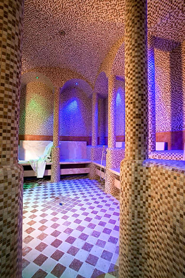 Palace Hotel Legnano