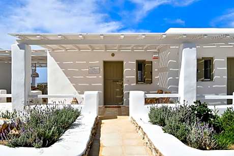 3 Bedroom Villa with Jacuzzi