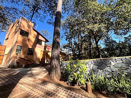 Bosque de Avandaro