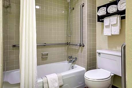 1 King Bed Nonsmoking Accessible