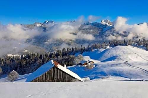 L'Auberge de Mégevette