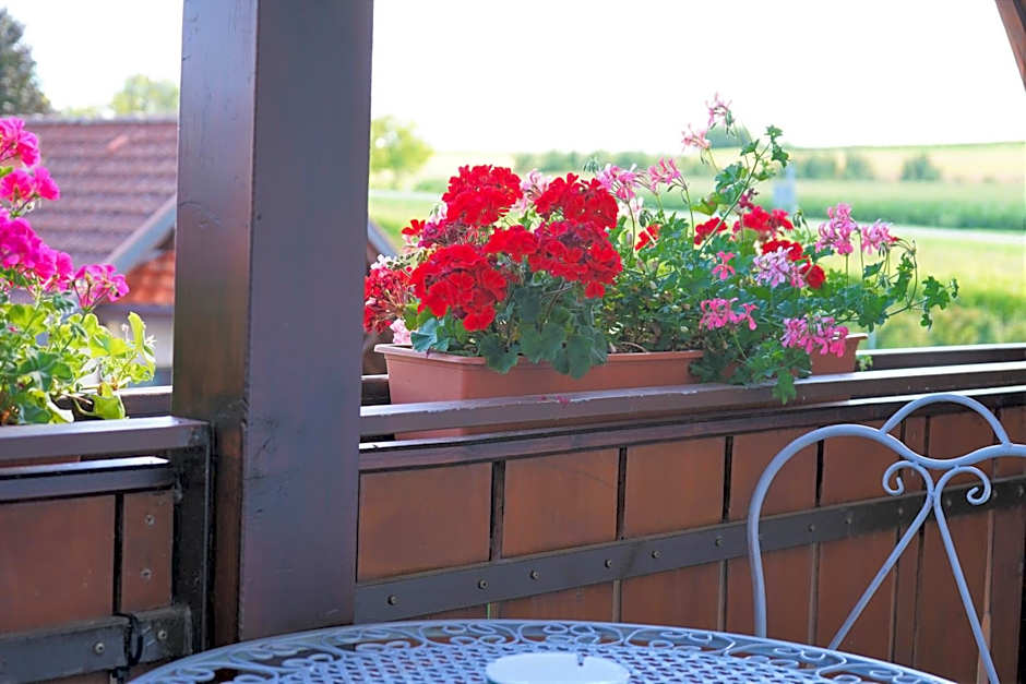 Hotel Garni Alte Post