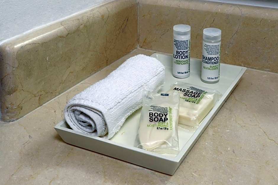 Wyndham Garden Monterrey Valle Real