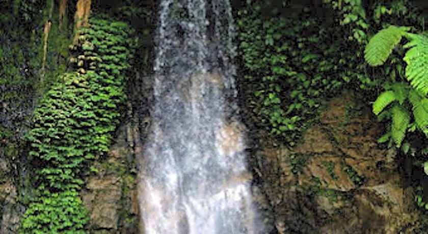 Villa Gajah Mas