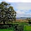 Lakeland Midsummer Lakehouse