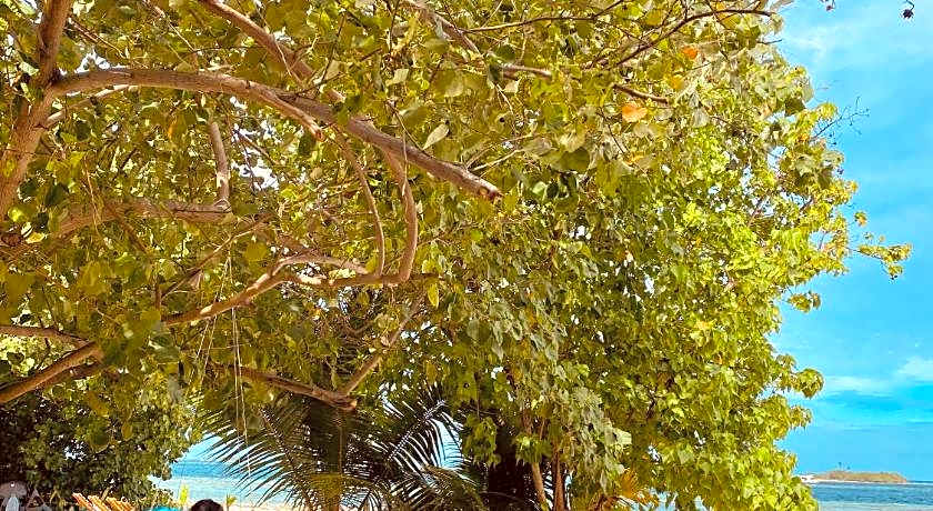 Summer Vibes Beach Front Maldives