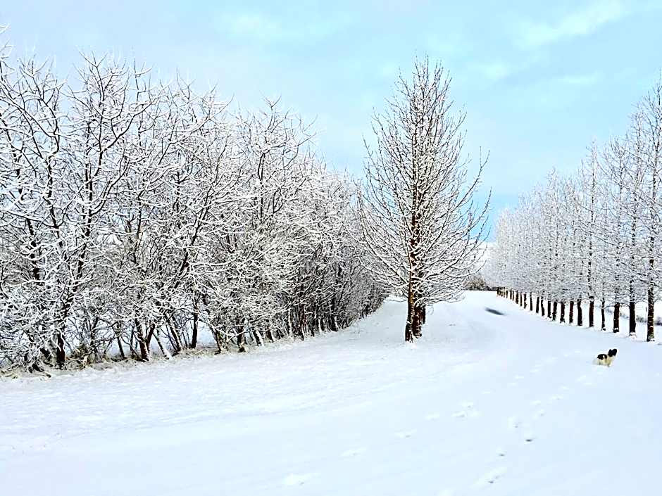 Hótel Eyjafjallajökull