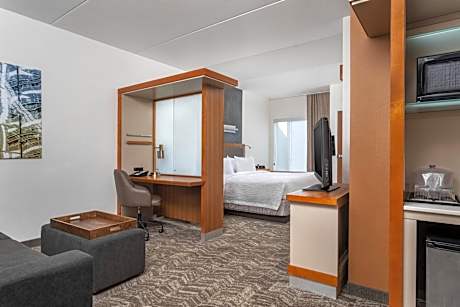 Studio with King Bed and Trundle Sofa - Hearing Accessible