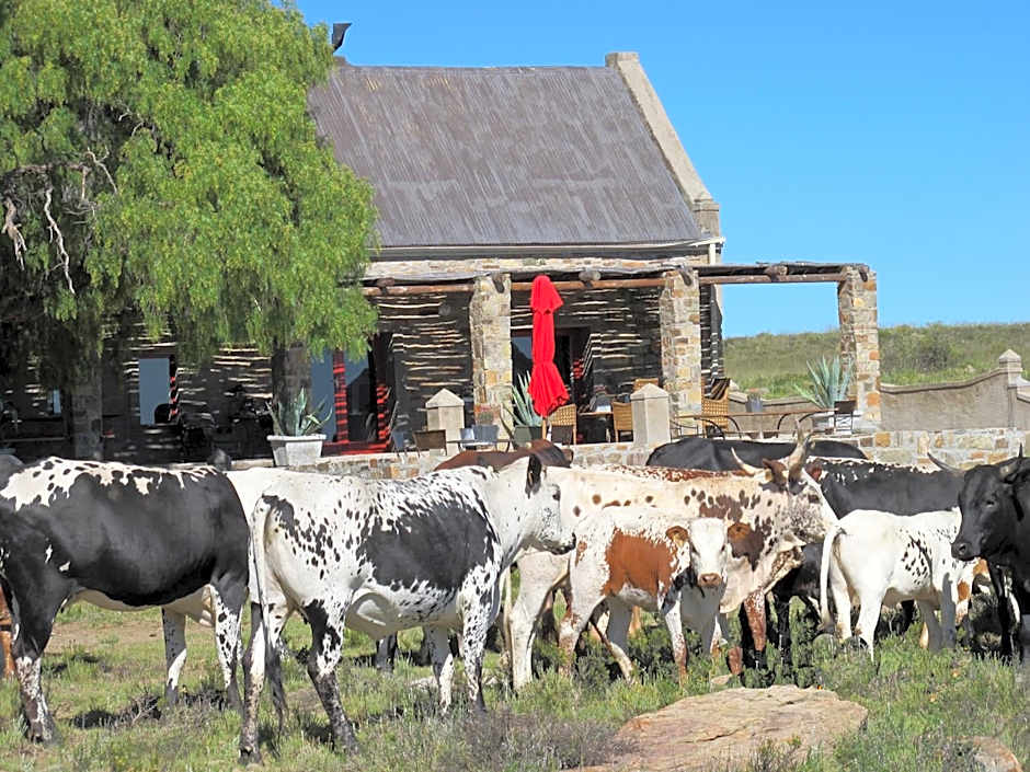 Sneeuberg Nature Reserve