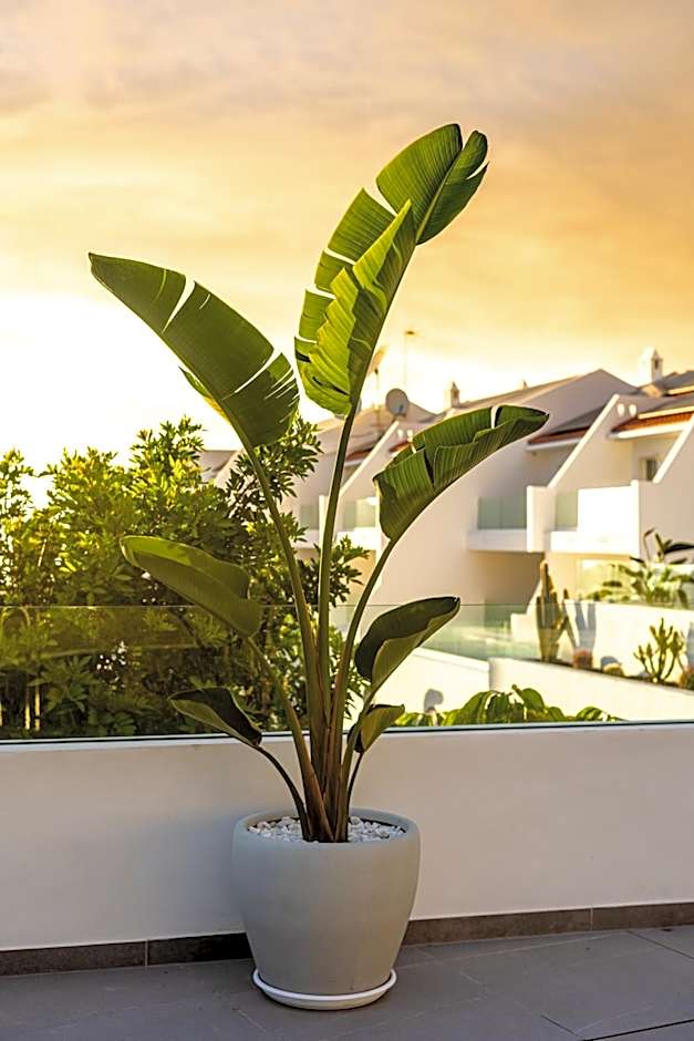 Costa Adeje Garden Aparthotel