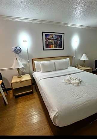 Superior 1 Queen Bed Non Smoking