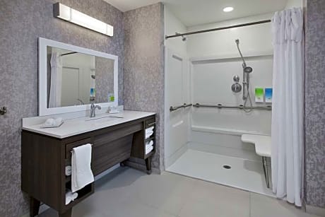 1Queen Accessible Roll In Shower Suite Nosmok