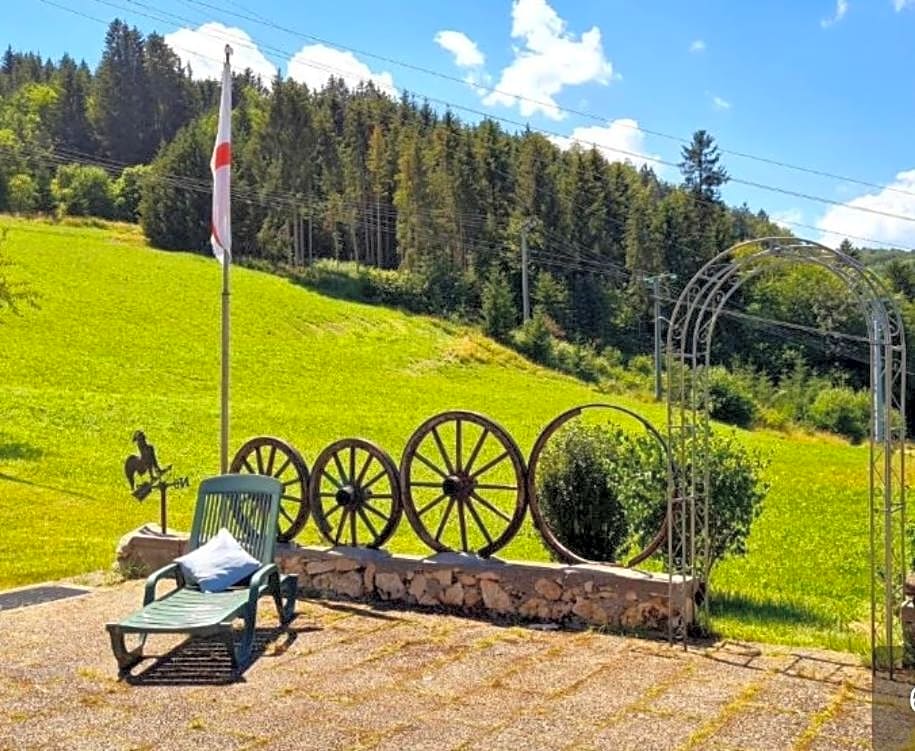 Doppelzimmer Waldblick
