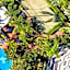 Aristocrat Apartments