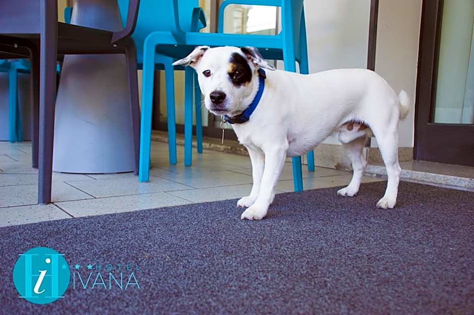 Hotel Ivana