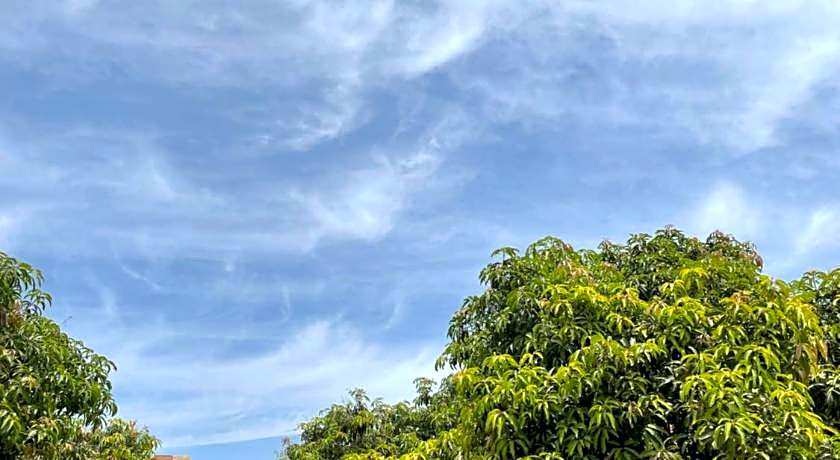 The Postcard Gir Wildlife Sanctuary